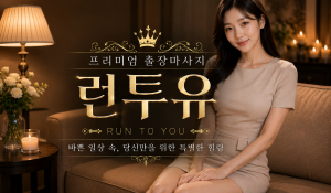 핫걸홈타이